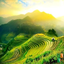 Tranh dán tường phòng khách đẹp tại Hà Nội NA - 390 